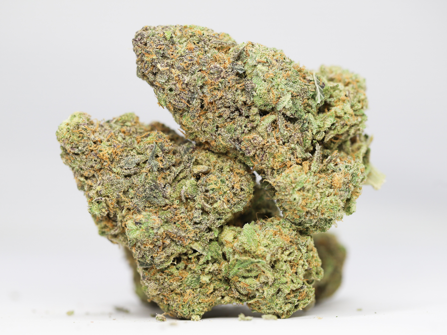 BLUE DREAM AA RESTOCK 5.jpg BLUE DREAM AA RESTOCK 5.jpg