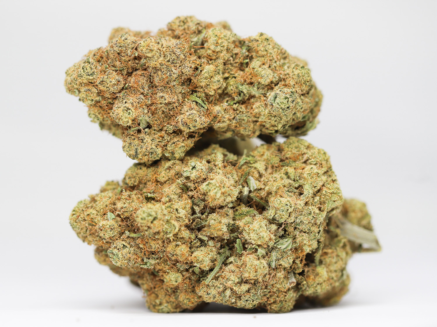 BLUEBERRY CHEESECAKE AA RESTOCK 2.jpg BLUEBERRY CHEESECAKE AA RESTOCK 2.jpg