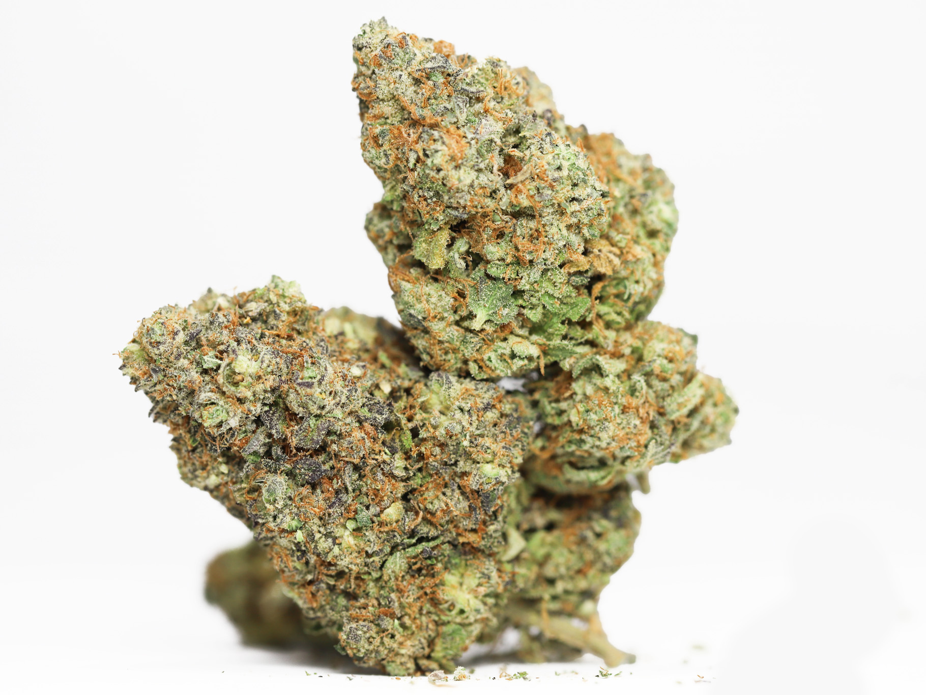 BLUEBERRY NUKEN AA RESTOCK.jpg BLUEBERRY NUKEN AA RESTOCK.jpg