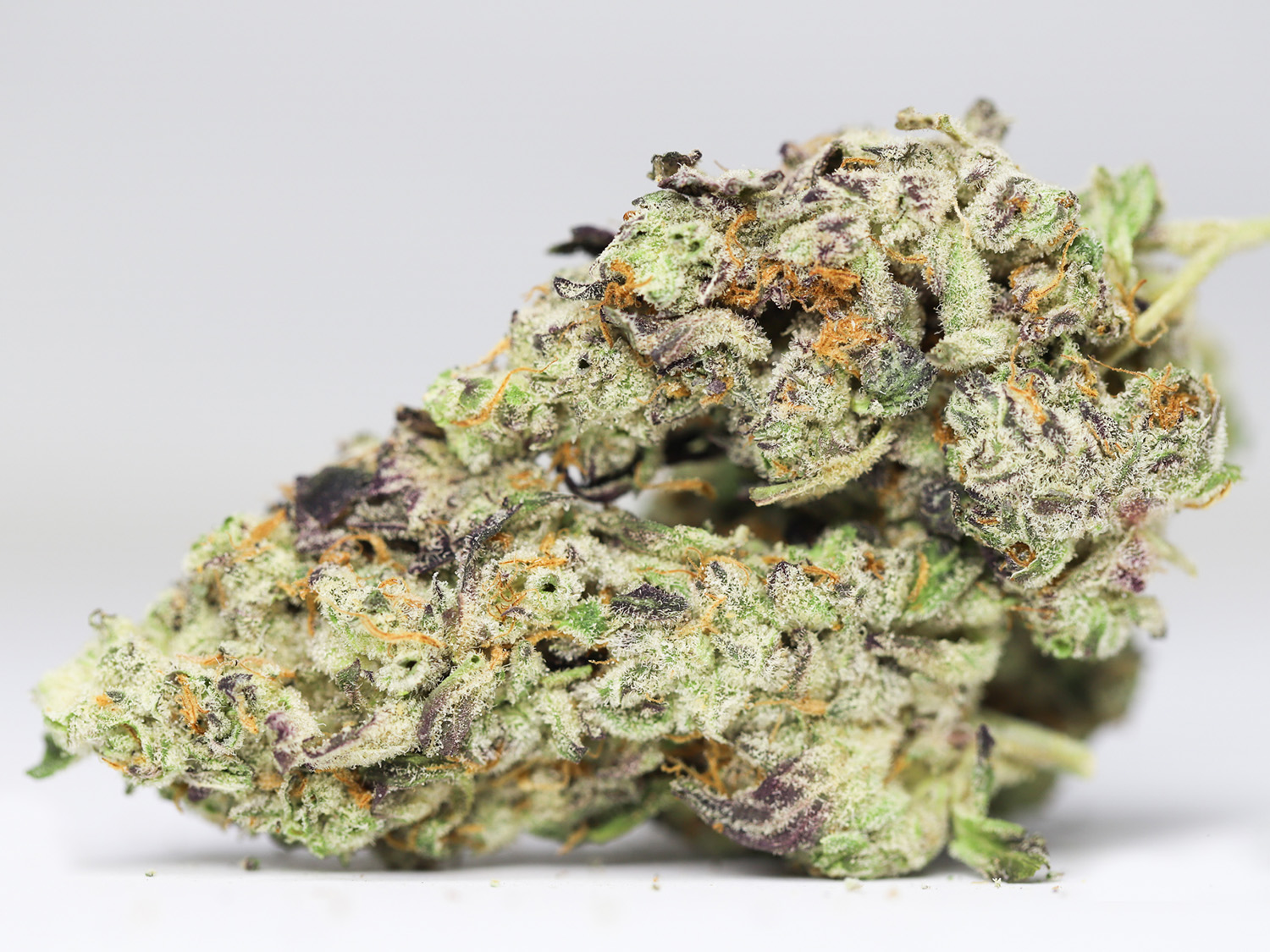 BLUEBERRY PUNCH AA RESTOCK 2.jpg BLUEBERRY PUNCH AA RESTOCK 2.jpg