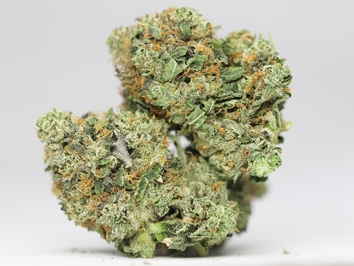 BUBBA OG AA RESTOCK 1.jpg BUBBA OG AA RESTOCK 1.jpg