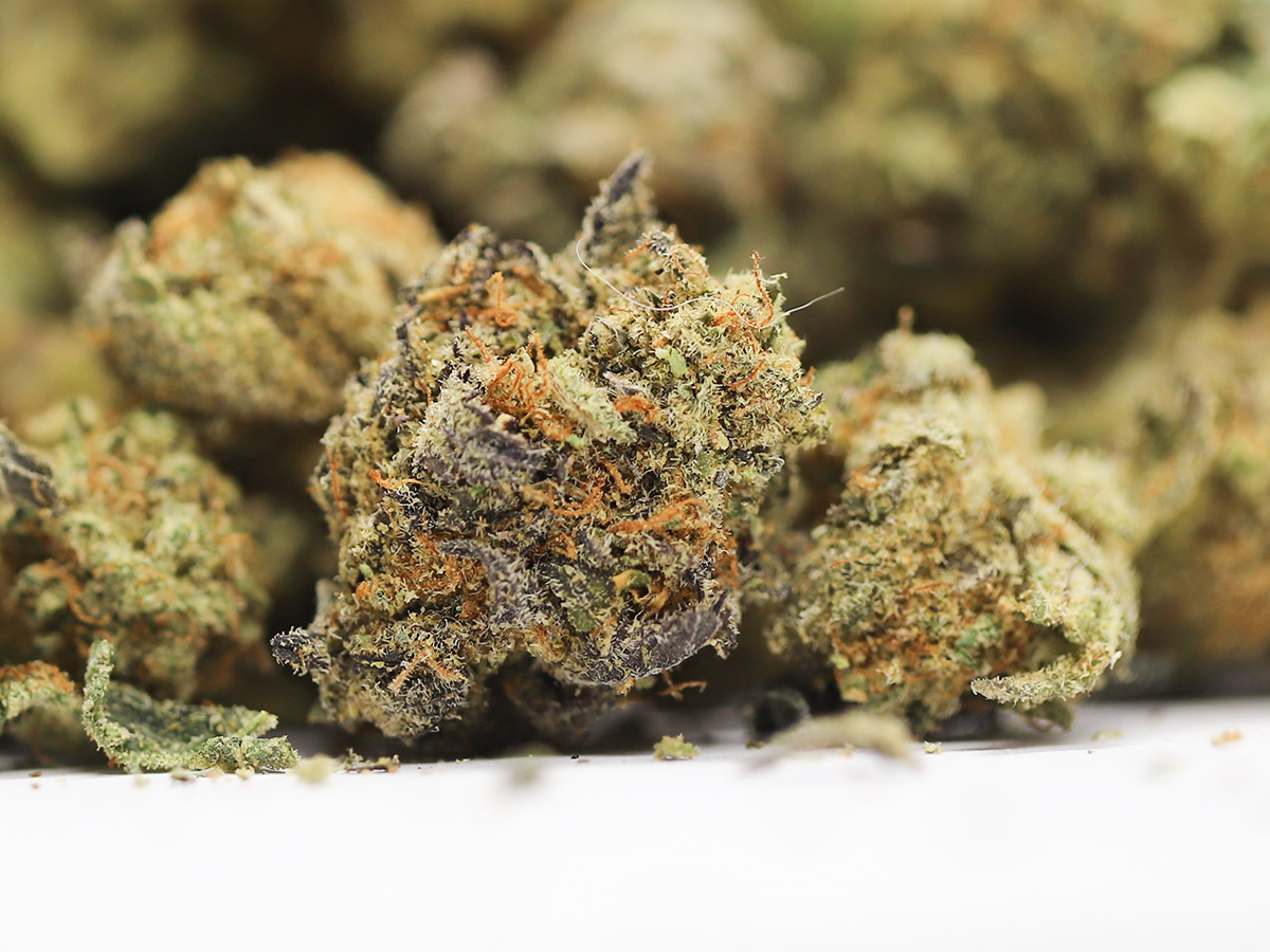 BUDGET MIXED SMALL BUDS QP 1.jpg BUDGET MIXED SMALL BUDS QP 1.jpg