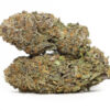 Bay Dream AA 1 Bay Dream AA 69.jpg