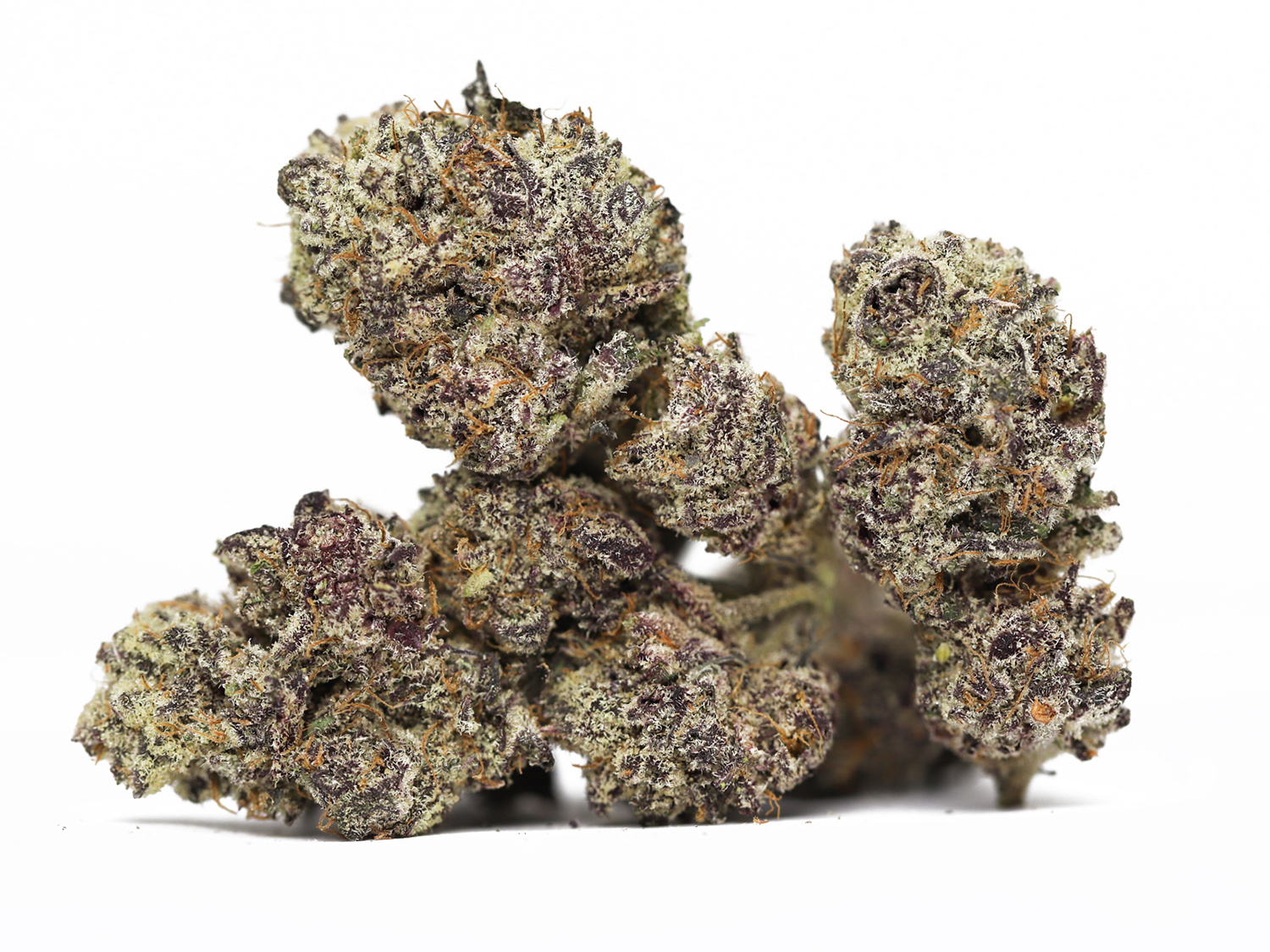 Black Cherry soda aa restock price change.jpg Black Cherry soda aa restock price change.jpg