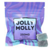 Jolly Molly Blueberry Gummies - 250MG 2 Blue Raspberry 250mg.jpg