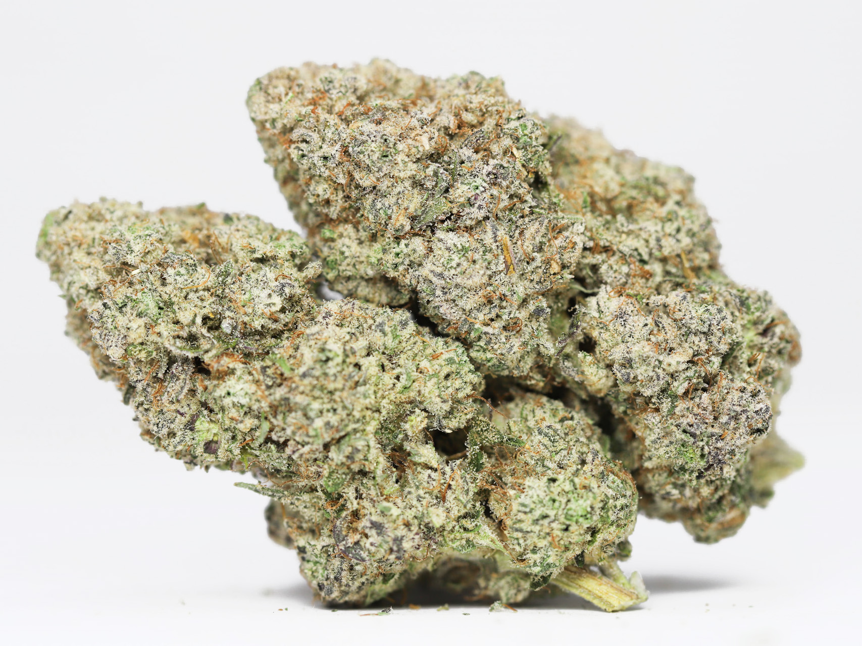 Bruce Banner 3 AAAA restock 6.jpg Bruce Banner 3 AAAA restock 6.jpg