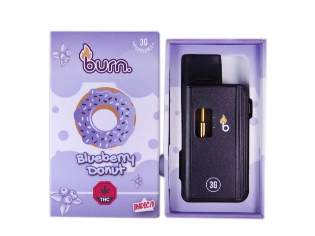 Burn 3 g blueberry donut.jpg Burn 3 g blueberry donut.jpg