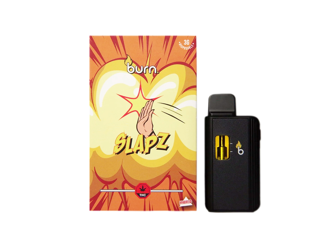 Burn SLapz.jpg Burn SLapz.jpg