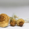Cambodian (shrooms) 2 CAMBODIAN RESTOCK.jpg