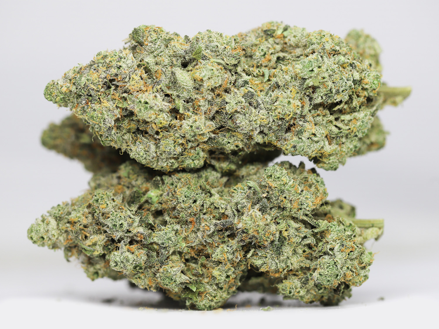 CANDYLAND AAAA RESTOCK 3.jpg CANDYLAND AAAA RESTOCK 3.jpg