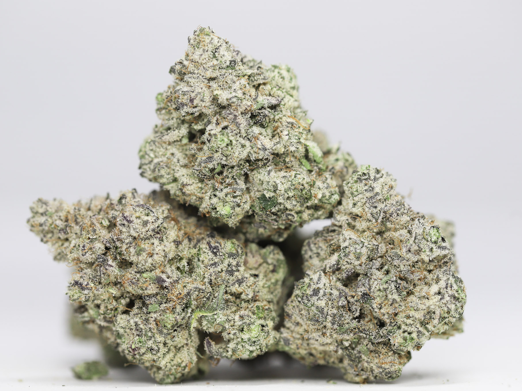 CANDYLAND COOKIES AAAA RESTOCK.jpg CANDYLAND COOKIES AAAA RESTOCK.jpg