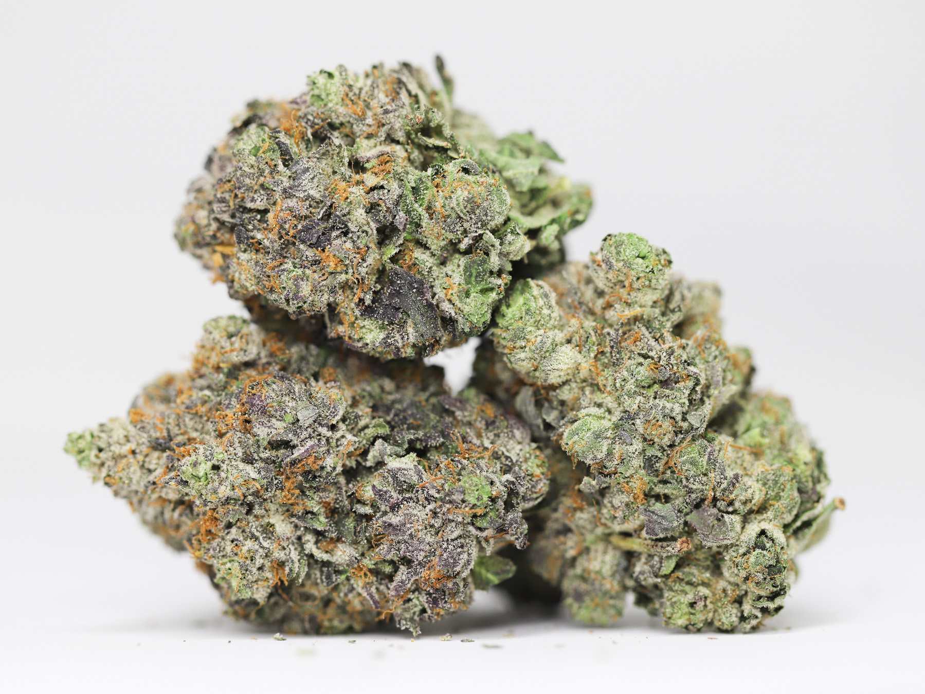 CASINO KUSH AAAA RESTOCK 2.jpg CASINO KUSH AAAA RESTOCK 2.jpg