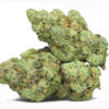 Cement Shoes AAA 2 CEMENT SHOES AAA RESTOCK.jpg