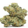 Cheese N Chong AAAA 2 CHEESE N CHONG AAAA 27 thc.jpg