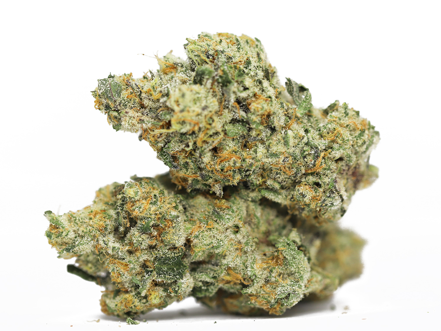 CHEESE N CHONG AAAA 27 thc.jpg CHEESE N CHONG AAAA 27 thc.jpg