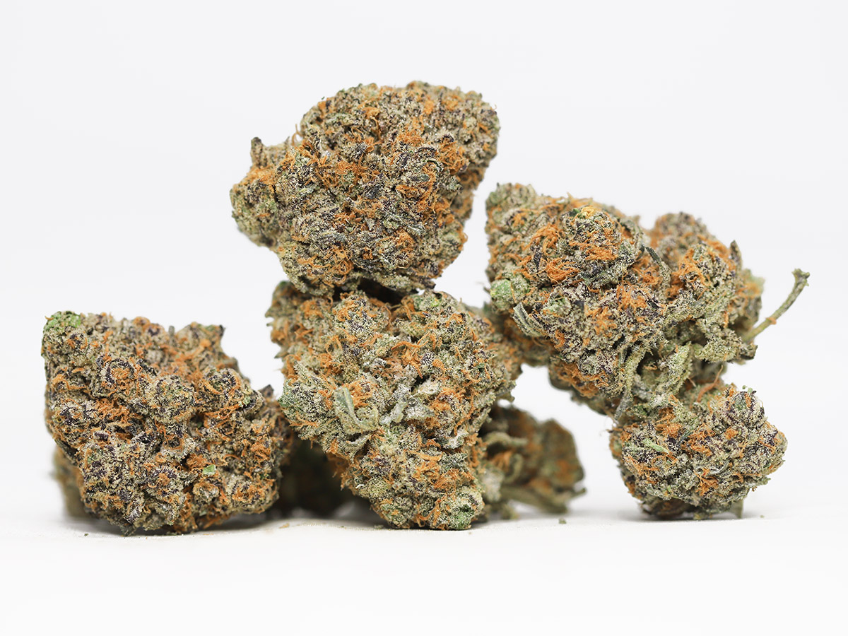 CHOCOLOPE AA 3.jpg CHOCOLOPE AA 3.jpg
