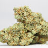 Citrus Punch AA 1 CITRUS PUNCH AA RESTOCK 1.jpg