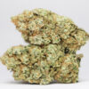 Colombian Gold AA 2 COLOMBIAN GOLD AA RESTOCK 2.jpg