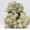 Comatose OG AA 1 COMATOSE OG AA RESTOCK 1.jpg