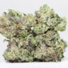 COMATOSE OG AAAA RESTOCK 1.jpg