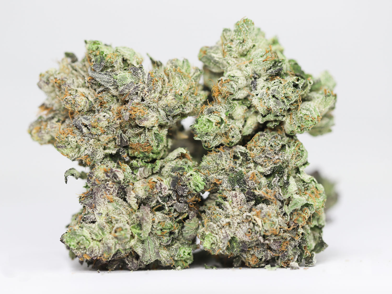 COMATOSE OG AAAA RESTOCK 1.jpg COMATOSE OG AAAA RESTOCK 1.jpg