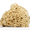 AAA+ House Honey Comb - Cookie Dough 2 COOKIE DOUGH HONEY COMB.jpg