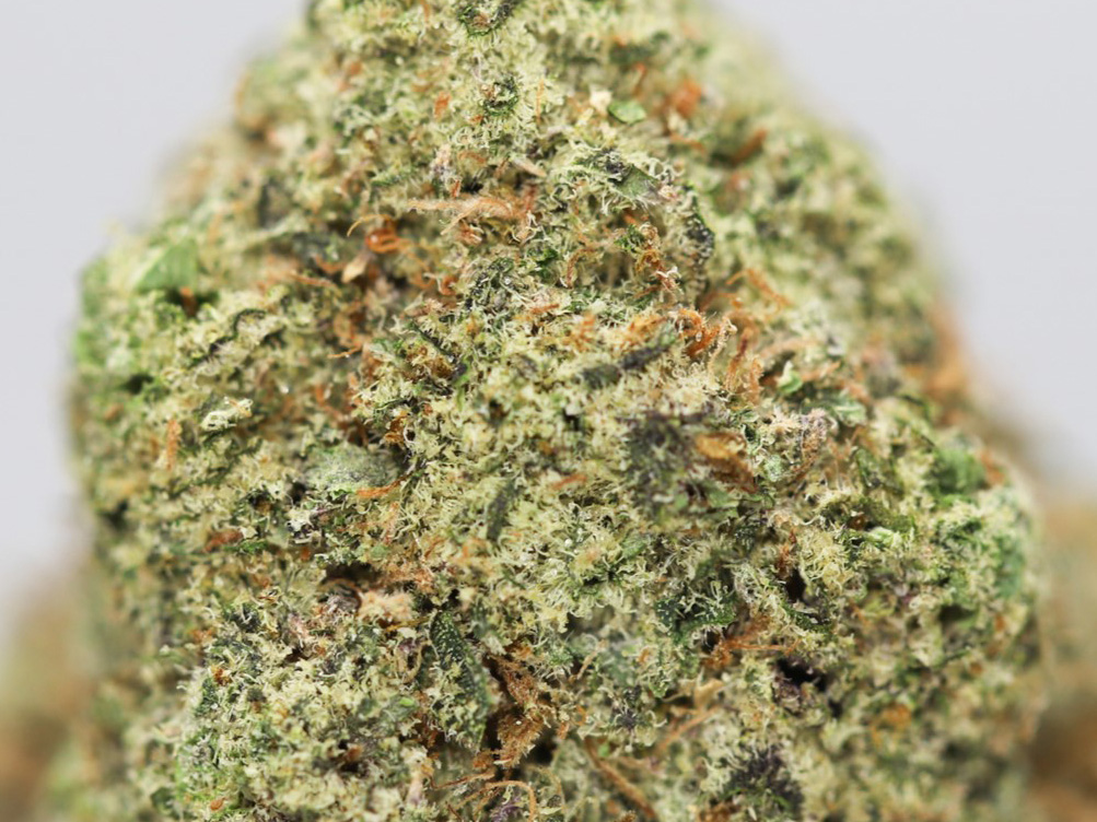 COOKIES N CREAM AA CLOSE UP 1.jpg COOKIES N CREAM AA CLOSE UP 1.jpg