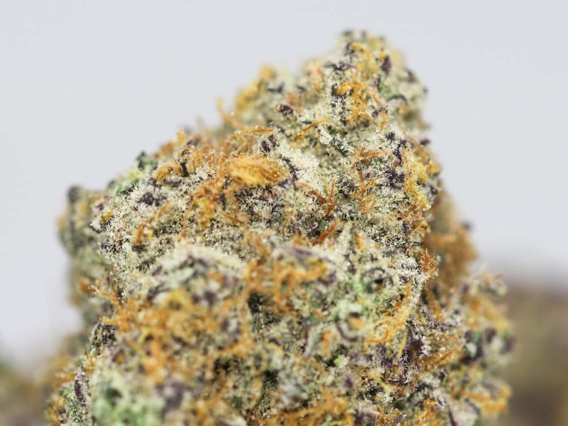 COTTON CANDY KUSH AAA CLOSE UP 3.jpg COTTON CANDY KUSH AAA CLOSE UP 3.jpg