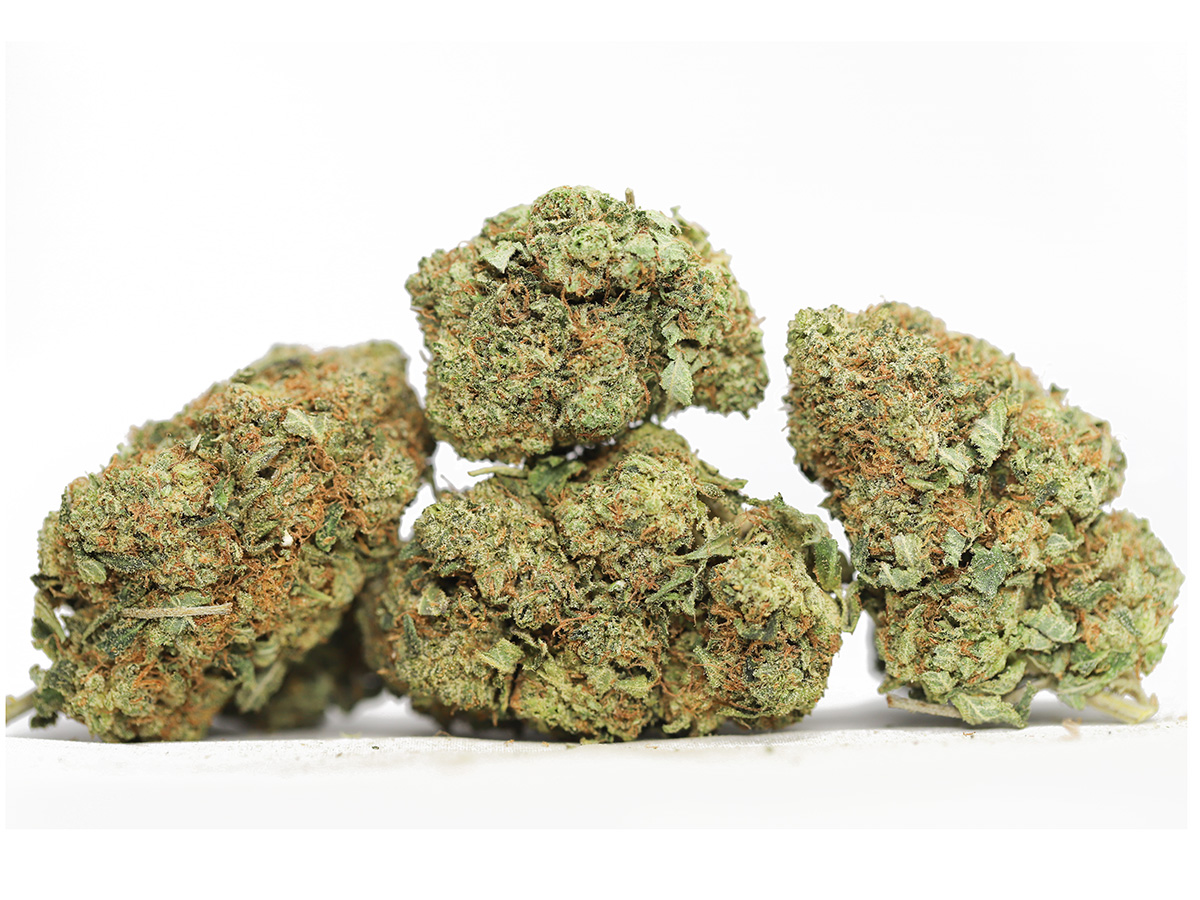 CRITICAL KUSH 99 BUDGET.jpg CRITICAL KUSH 99 BUDGET.jpg