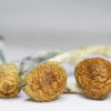 Cubensis B+ (shrooms) 2 CUBENSIS B RESTOCK.jpg