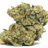 Candyland AAA 1 Candyland AAA restock 2.jpg