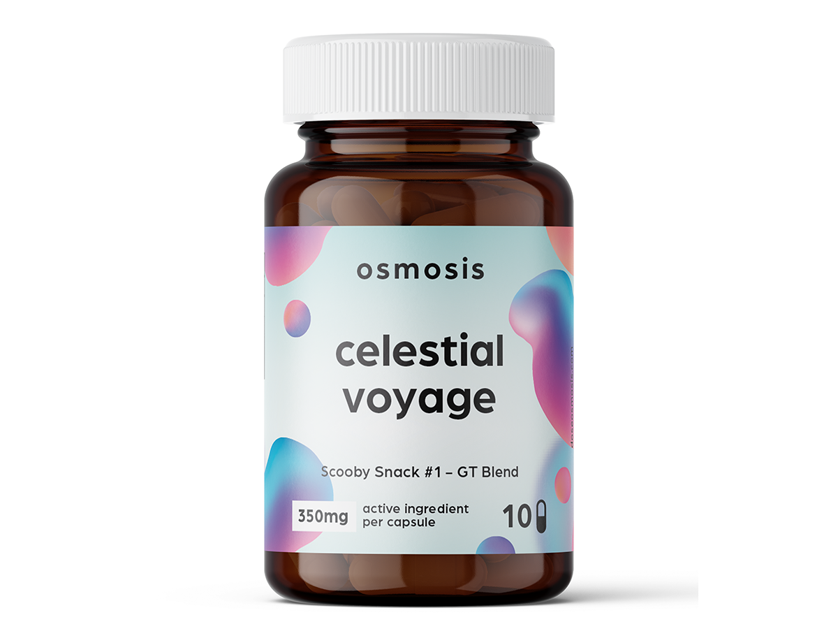 Celestial Voyage.png Celestial Voyage.png