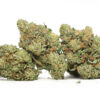 Critical Mass AA special 99.jpg