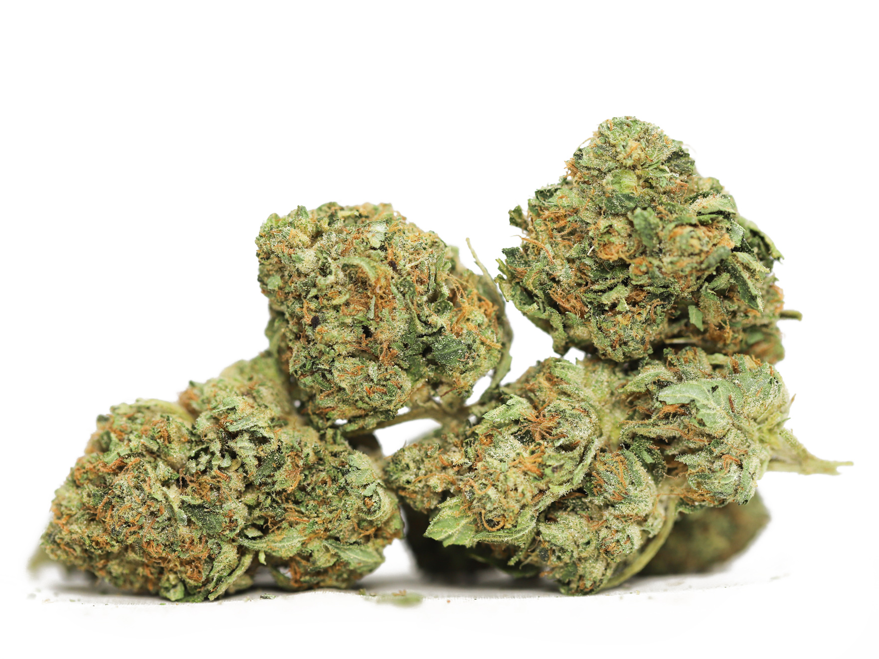 Critical kush Oz special 55 .jpg Critical kush Oz special 55 .jpg