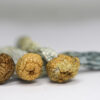 Daddy Long Legs (shrooms) 2 DADDY LONG LEGS RESTOCK.jpg