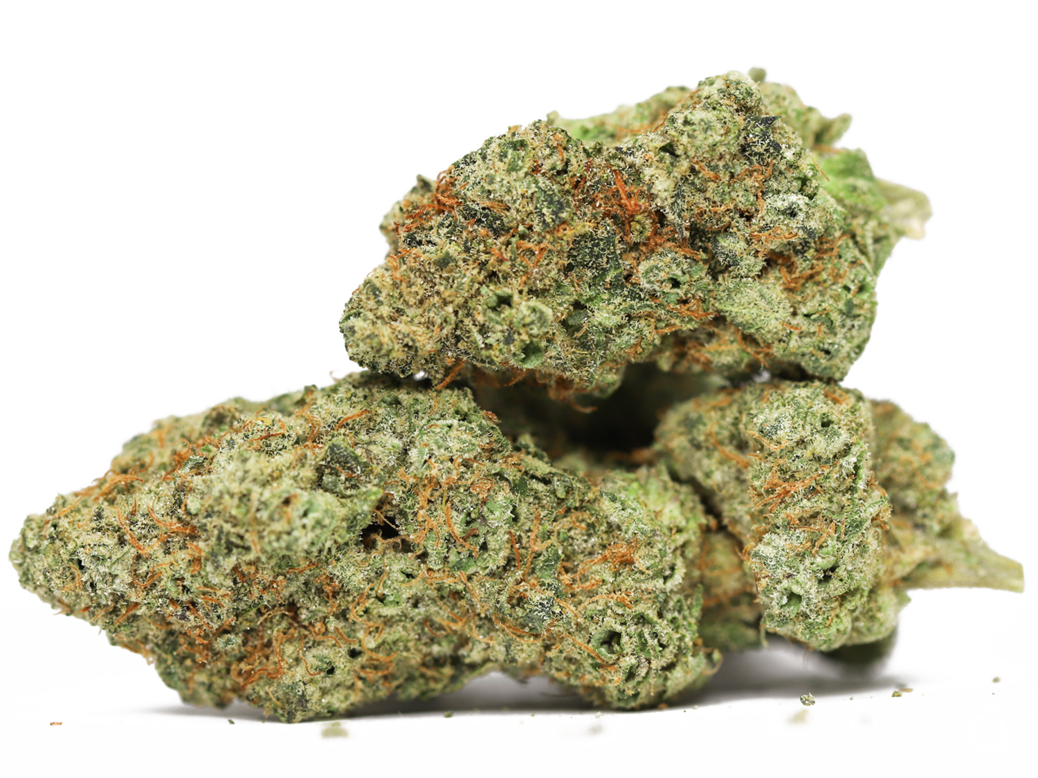 DANK DOUGH AAA RESTOCK.jpg DANK DOUGH AAA RESTOCK.jpg