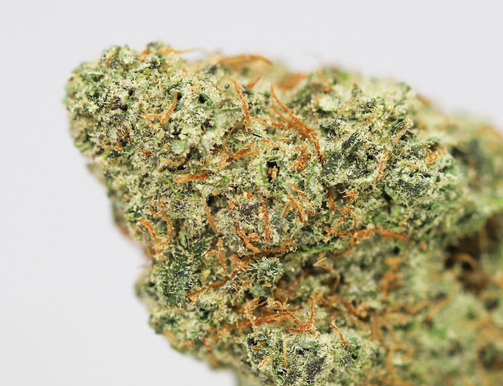 DANK DOUGH CLOSE UP.jpg DANK DOUGH CLOSE UP.jpg