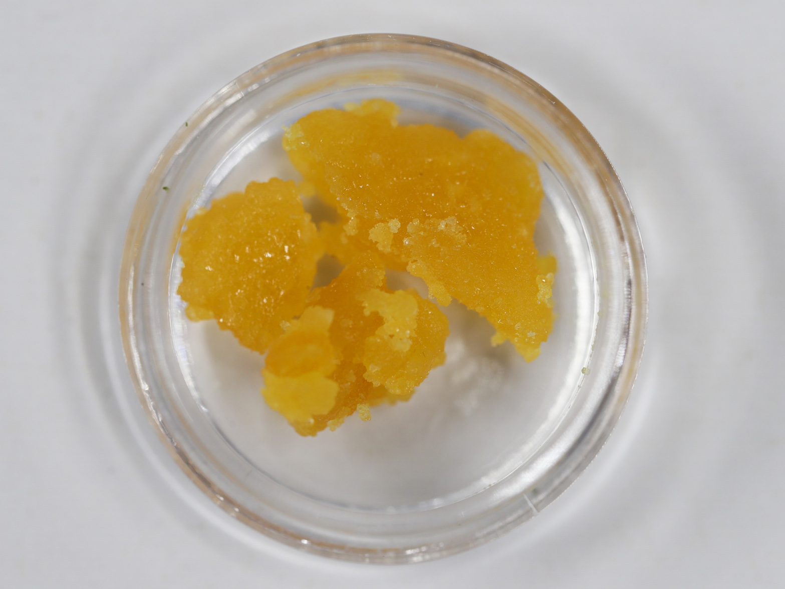DANK DROP BLACKBERRY KUSH RESTOCK.jpg DANK DROP BLACKBERRY KUSH RESTOCK.jpg