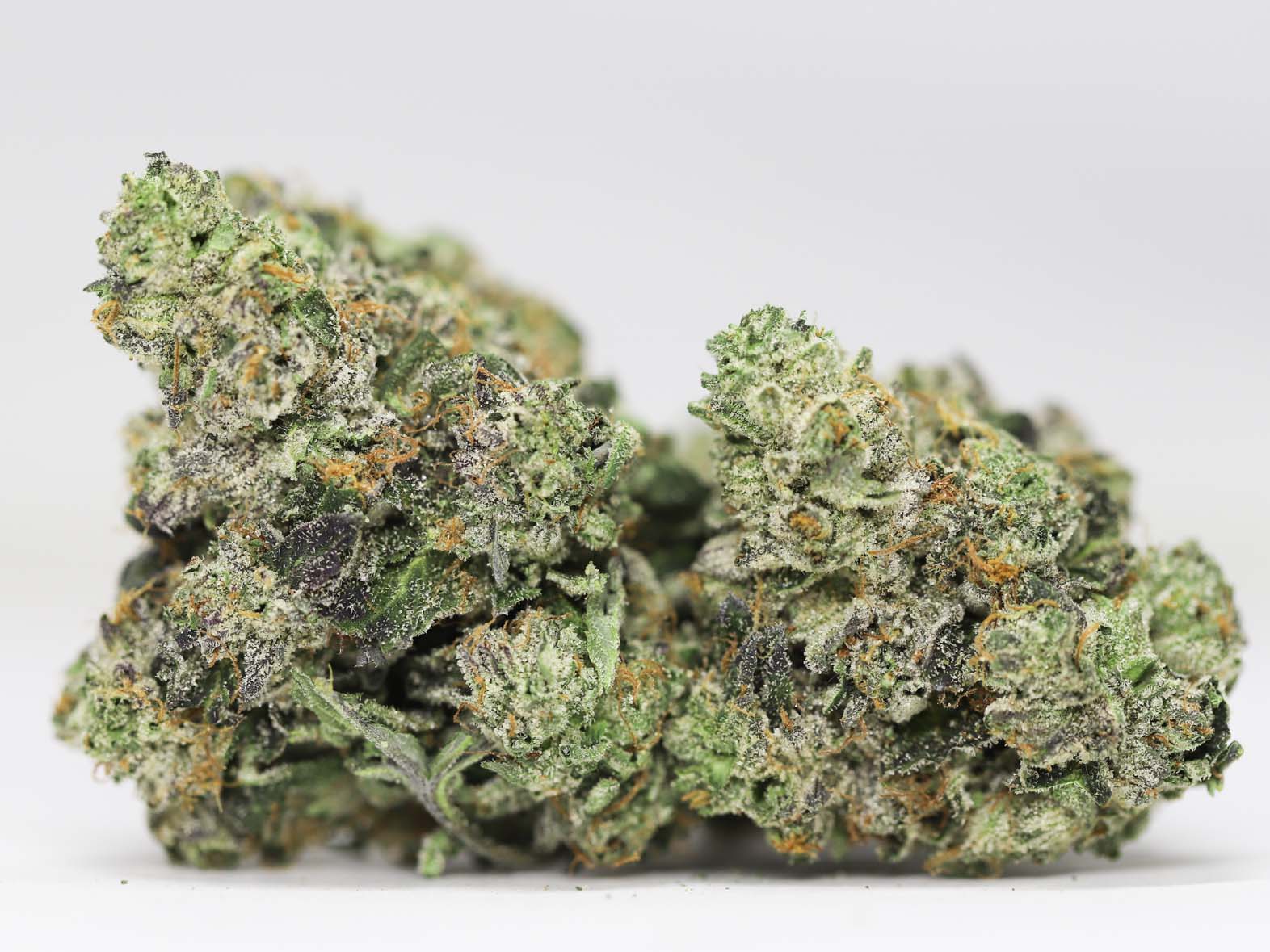 DANK SINATRA AAAA RESTOCK 10.jpg DANK SINATRA AAAA RESTOCK 10.jpg