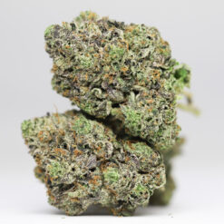DANK SINATRA AAAA RESTOCK 18.jpg