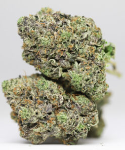 DANK SINATRA AAAA RESTOCK 18.jpg