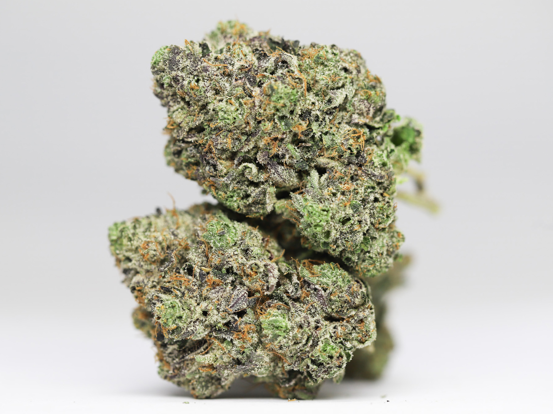 DANK SINATRA AAAA RESTOCK 18.jpg DANK SINATRA AAAA RESTOCK 18.jpg