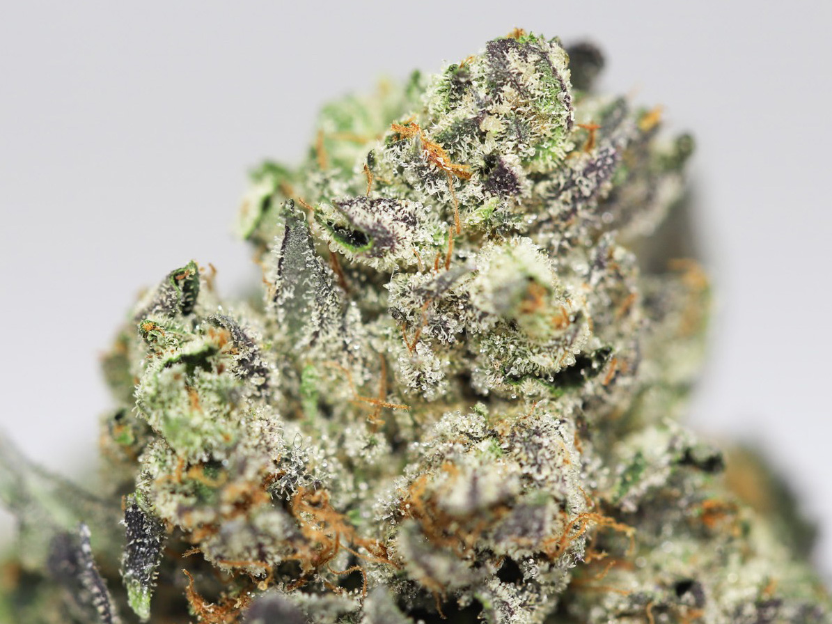 DEATH BUBBA AA CLOSE UP 3.jpg DEATH BUBBA AA CLOSE UP 3.jpg
