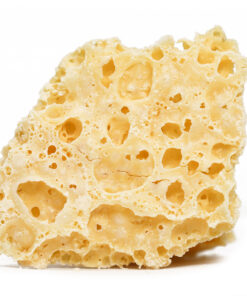 DEATH TUNA HONEY COMB.jpg