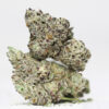 DONKEY BUTTER AAA RESTOCK 4.jpg