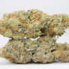 DURBAN POISON AA RESTOCK 1.jpg