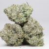 DURBAN POISON AAA RESTOCK 4.jpg
