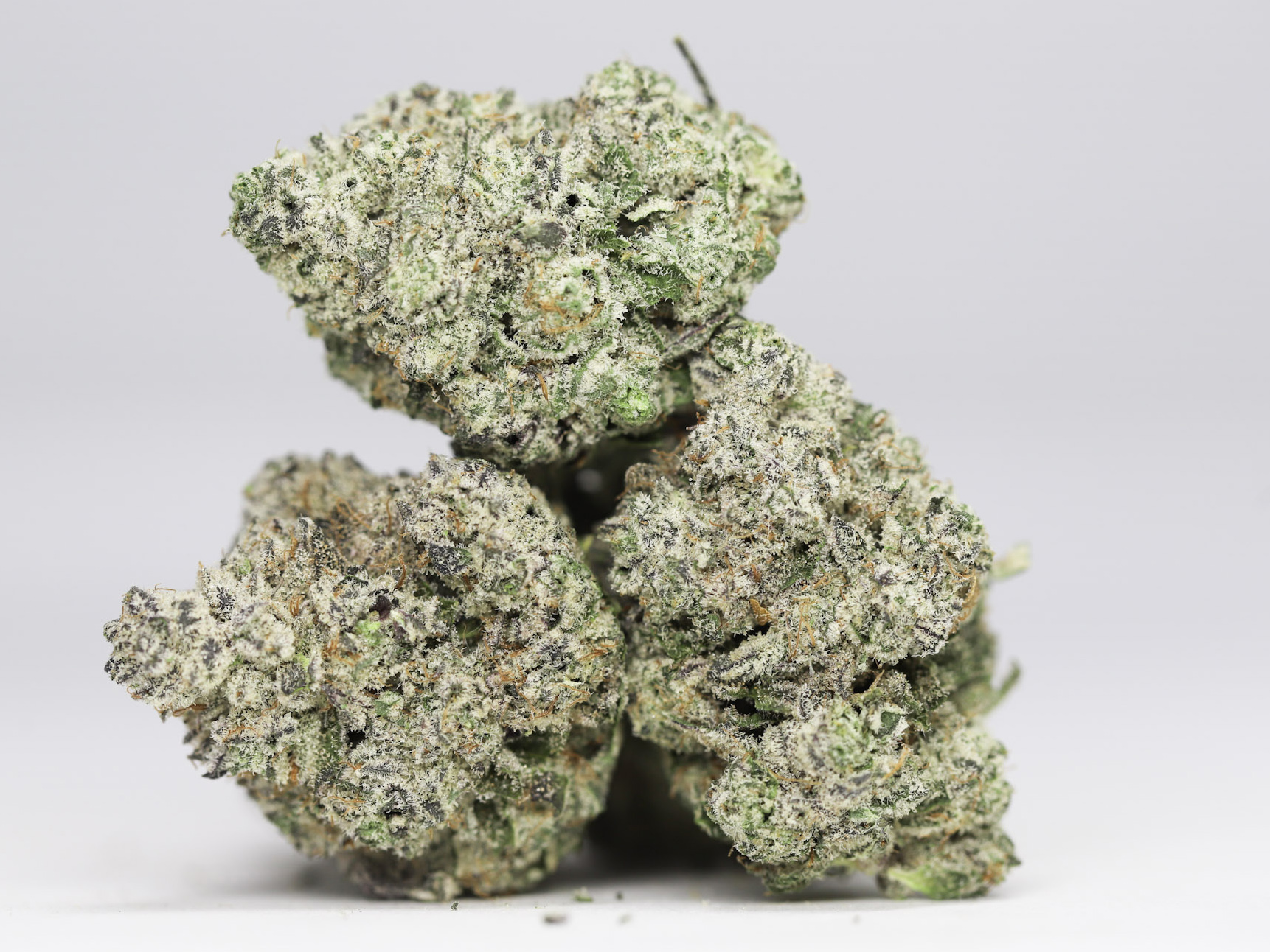 DURBAN POISON AAA RESTOCK 4.jpg DURBAN POISON AAA RESTOCK 4.jpg