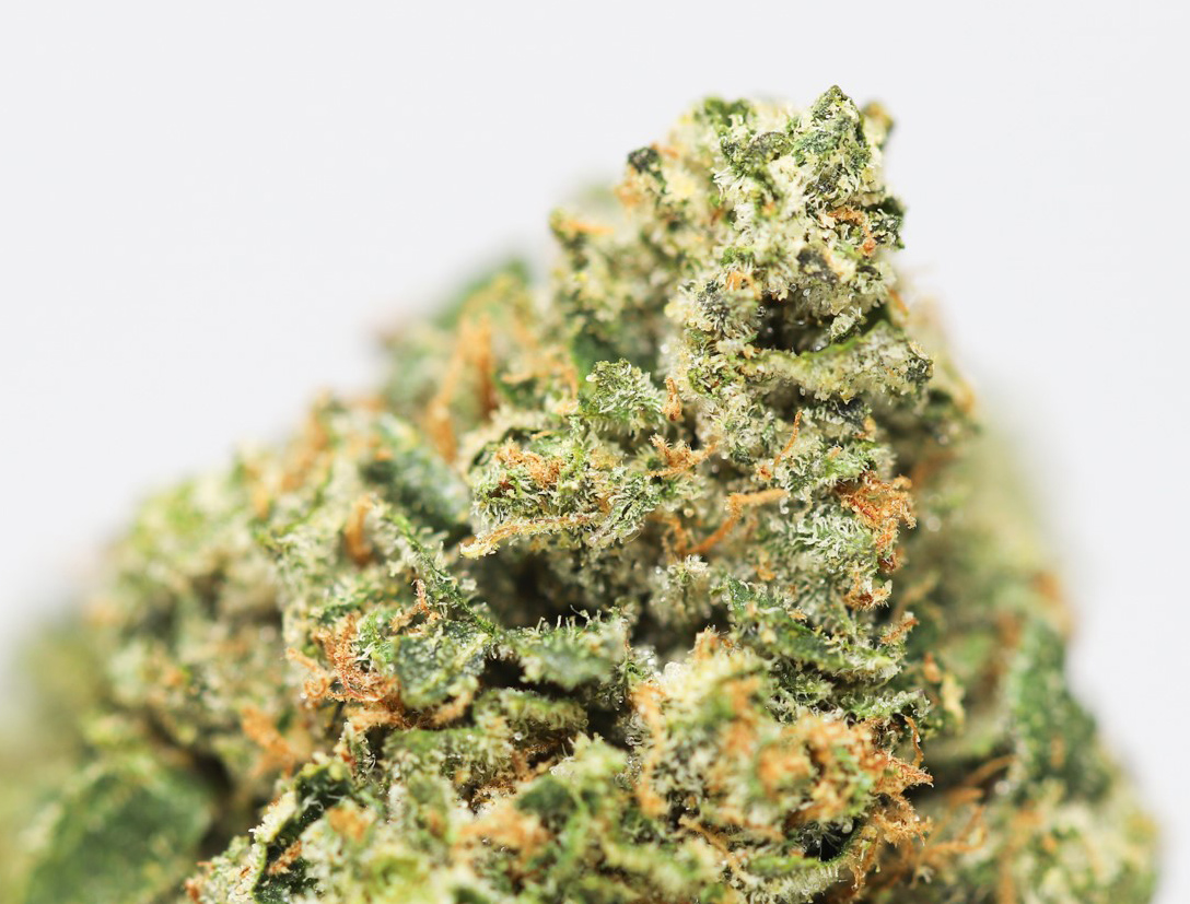 Darth Vader OG close up 4.jpg Darth Vader OG close up 4.jpg
