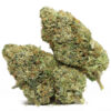 Dolato AA 2 Dolato AA restock 1.jpg